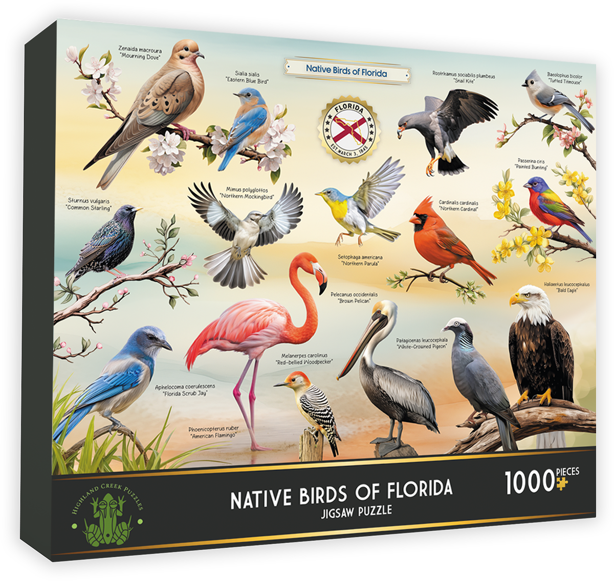 Native Birds of Florida 1000-piece jigsaw puzzle box front