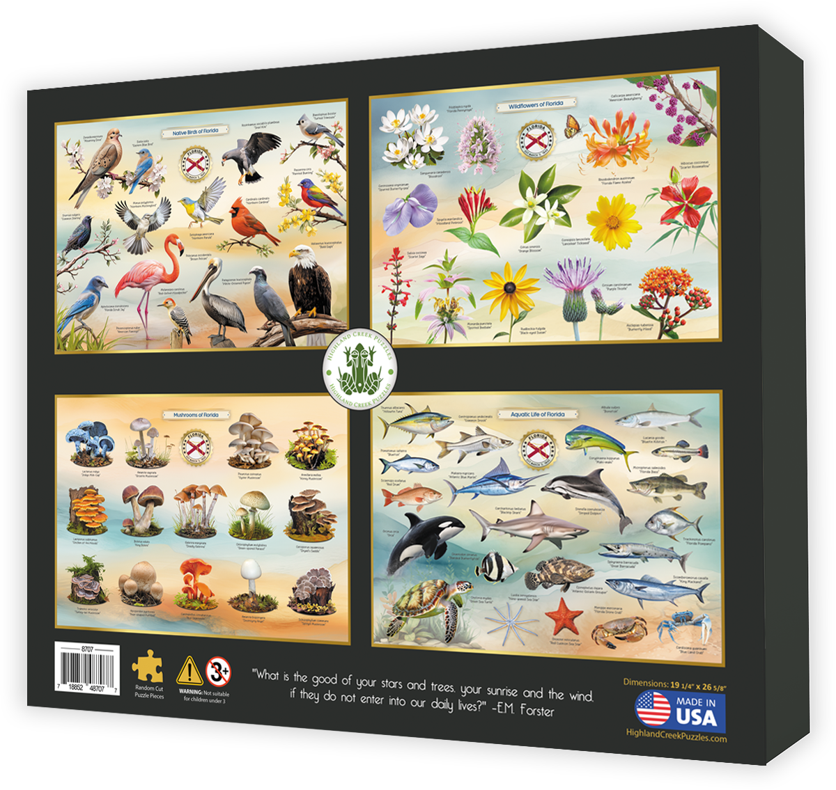 Native Trees of Florida jigsaw puzzle box back