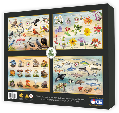 Native Trees of Florida jigsaw puzzle box back