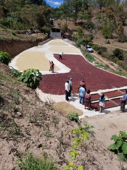 POAQUIL NATURAL | GUATEMALA