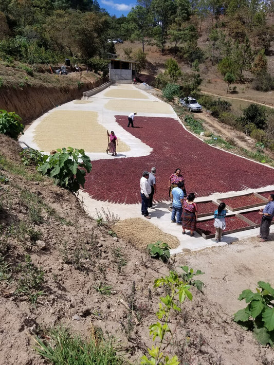 POAQUIL NATURAL | GUATEMALA