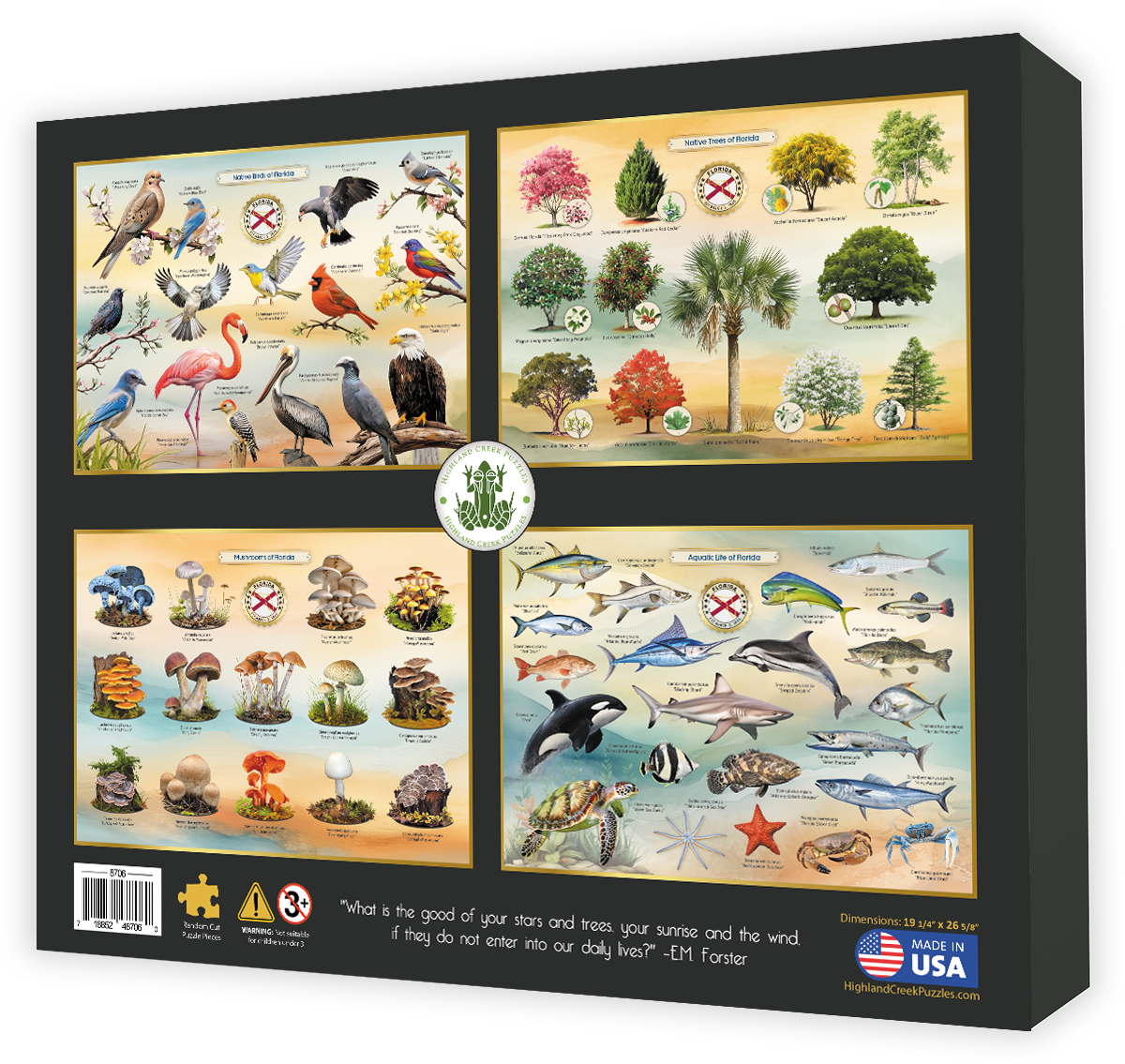 Wildflowers of Florida jigsaw puzzle box back